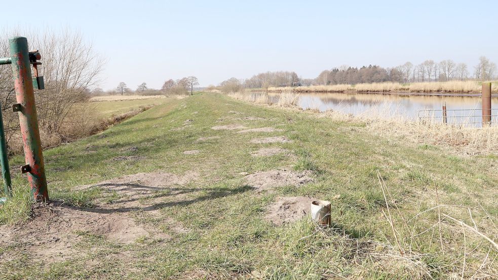 Kurz über der Grasnarbe auf dem Deich des Barßeler Tief haben die Täter den Absperrpfosten (rechts) abgeflext. Foto: Passmann