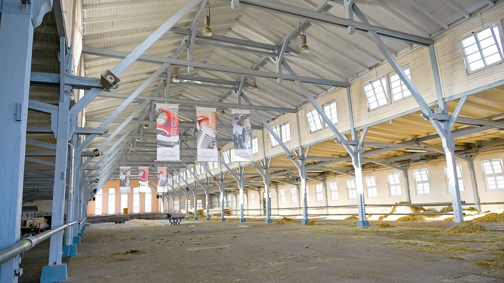 Leer Viehboxen: Seit Jahresbeginn ist die Münsterlandhalle in Cloppenburg geschlossen und für Veranstaltungen wie Viehauktionen gesperrt. Foto: Hermes