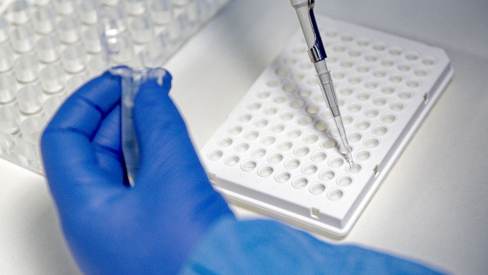 Die Mitarbeiterin eines Labors führt einen PCR-Test durch. Durch die Omikron-Variante stecken sich immer noch sehr viele Menschen mit Corona an. Foto: Kaiser/DPA