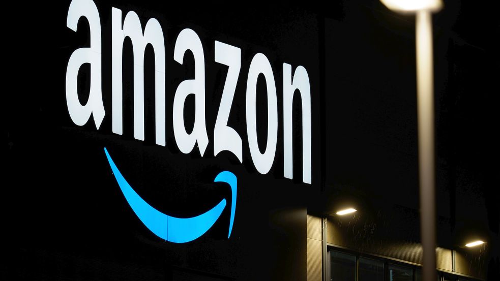 Internet-Schwergewichte wie Amazon oder der Facebook-Konzern Meta dominieren das Netz – die Konkurrenz hat es oft schwer. Foto: Stache/dpa-Zentralbild/dpa