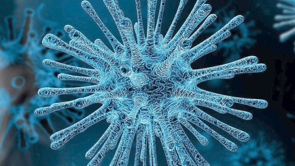 Das Coronavirus. Foto: Pixabay