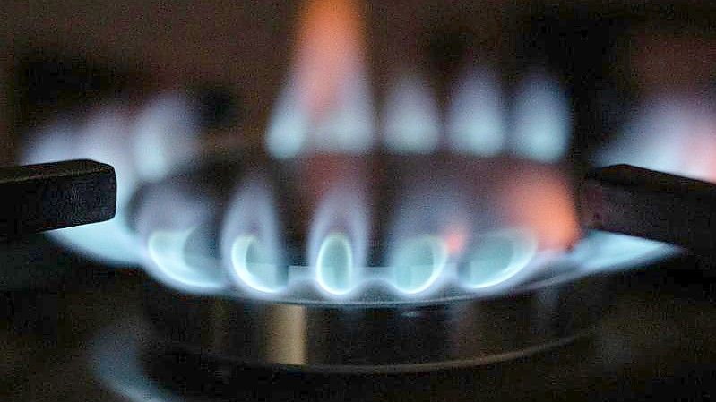 Die Bundesnetzagentur appelliert an alle, Gas zu sparen. Foto: Marijan Murat/dpa