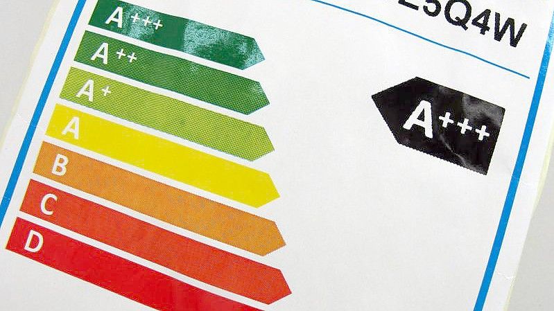 Ein Hinweisschild mit den bisherigen Energieeffizienzklassen steht in München in einem Großmarkt für Elektroartikel. Foto: Peter Kneffel/dpa