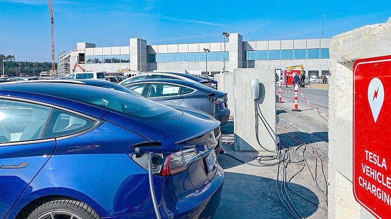 Elektrofahrzeuge der Marke Tesla werden vor der Tesla Gigafactory Berlin Brandenburg geladen. Foto: Patrick Pleul/dpa-Zentralbild/ZB