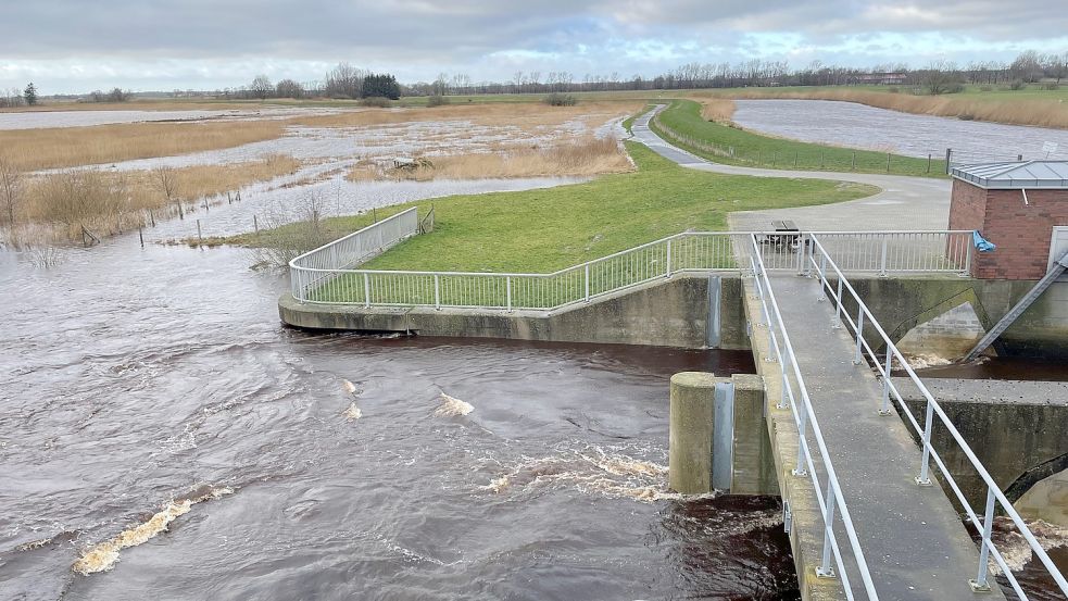 Im Februar dieses Jahres wurde nach zehn Jahren wieder er Polder Holter Hammrich geflutet. Archivfoto: Janßen