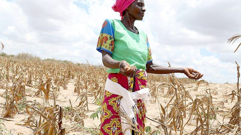 Kenia kämpft mit der dritten Dürre innerhalb eines Jahrzehnts - der Krieg in der Ukraine verschlimmert die ohnehin katastrophale Situation. Foto: Dong Jianghui/XinHua/dpa