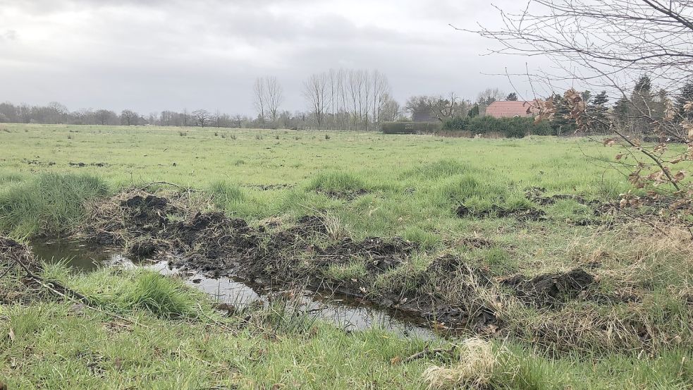 Auf dieser Fläche in der Straße Am Mittelweg in Holterfehn sollen 2023 insgesamt 30 Baugrundstücke erschlossen werden – allesamt klimafreundlich. Foto: Zein