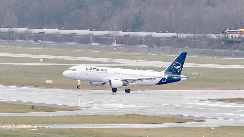 Ein Airbus A320 der Fluggesellschaft Lufthansa landet in Hamburg. Foto: Jonas Walzberg/dpa