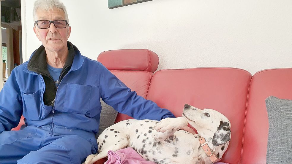 Maja darf sich auf dem Sofa erholen. Dieter Hunken ist froh, dass sich die Hündin von der Beißattacke erholt hat. Foto: Gettkowski