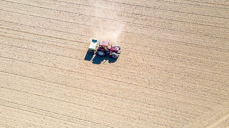 Stickstoff ist ein zentraler Bestandteil von Düngemitteln, was zu einem Überangebot bei intensiver Landwirtschaft führen kann. Foto: Jens Büttner/dpa-Zentralbild/dpa
