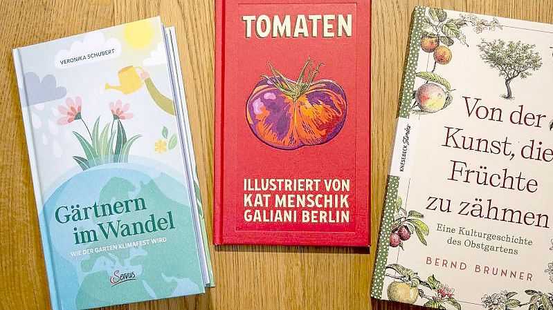 Drei Neuerscheinungen zum Thema Garten: Veronika Schubert mit „Gärtnern im Wandel“, Kat Menschik („Tomaten“) und Bernd Brunner mit „Von der Kunst, die Früchte zu zähmen“. Foto: Peter Zschunke/dpa-Zentralbild/dpa
