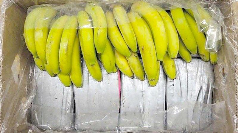 In Bananenkisten aus Ecuador sichergestelltes Kokain. Foto: Landeskriminalamt Baden-Württemberg/dpa/Archiv