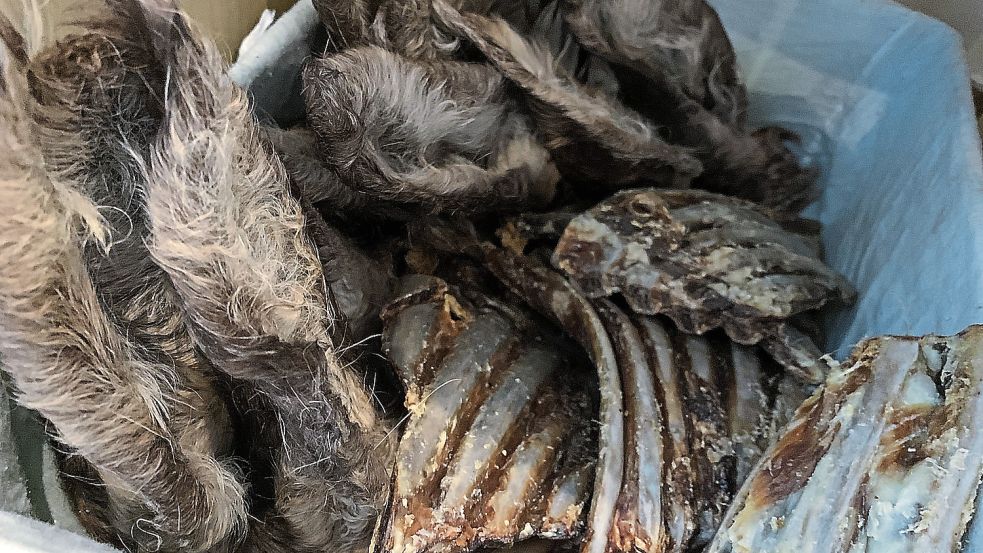 Ohren vom Hirsch und getrocknetes Fleisch. Foto: S. Risius-Hartwig