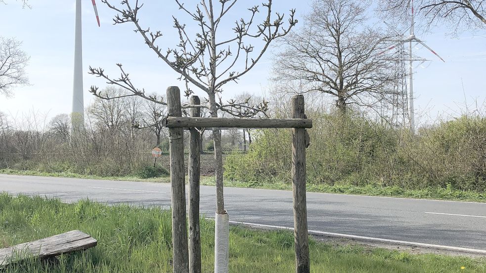 Der Biggenboom direkt an der Bundesstraße.Foto: Keller