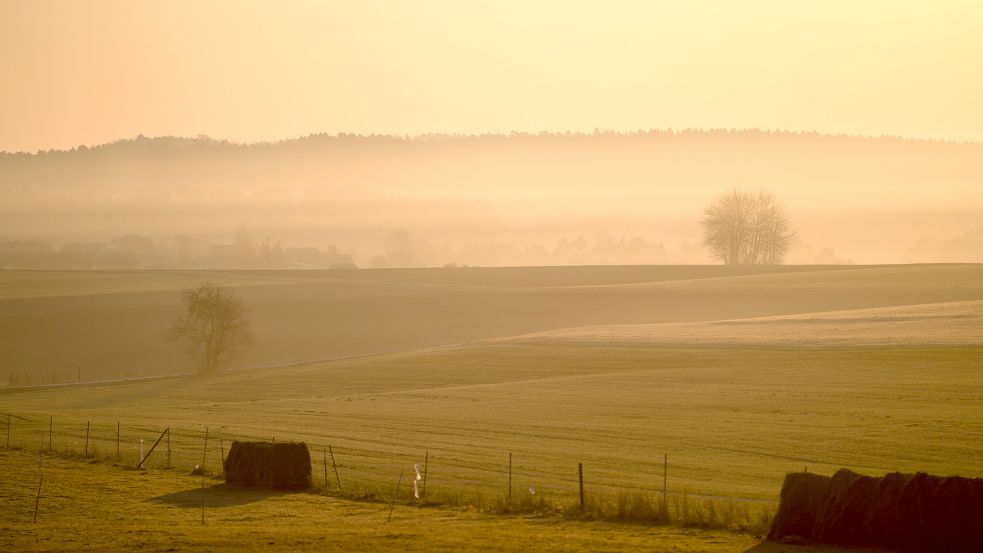 Einige schöne alte Wörter drohen in Vergessenheit zu geraten. Foto: dpa