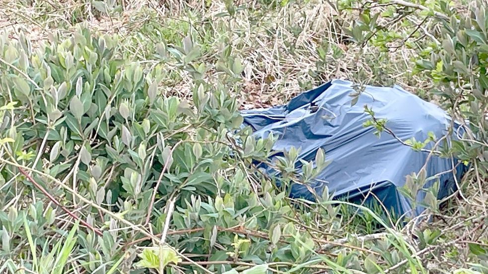 Halb verdeckt von Wallheckensträuchern liegen die Müllsäcke auf der Wiese. Foto: Janßen