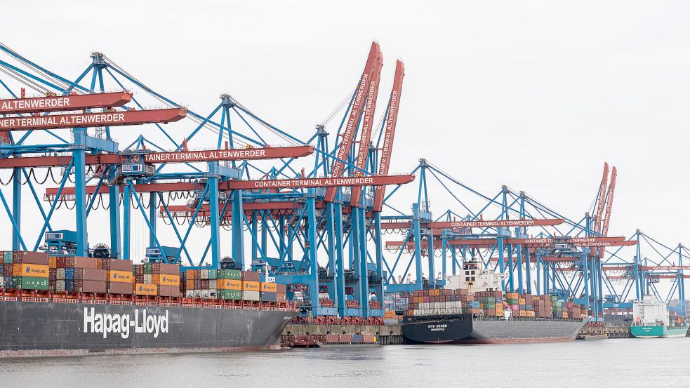 Containerschiffe liegen am Terminal in Hamburg. Derzeit gibt es im Hafen große Probleme bei der Abfertigung der Schiffe. Archivfoto: Reinhardt/DPA