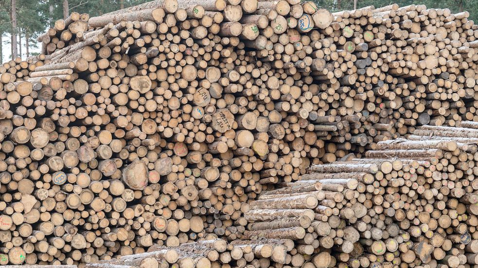 Holzstämme liegen auf dem Gelände eines Sägewerks. Die Holzpreise in Deutschland werden voraussichtlich weiter steigen. Foto: dpa/Weigel