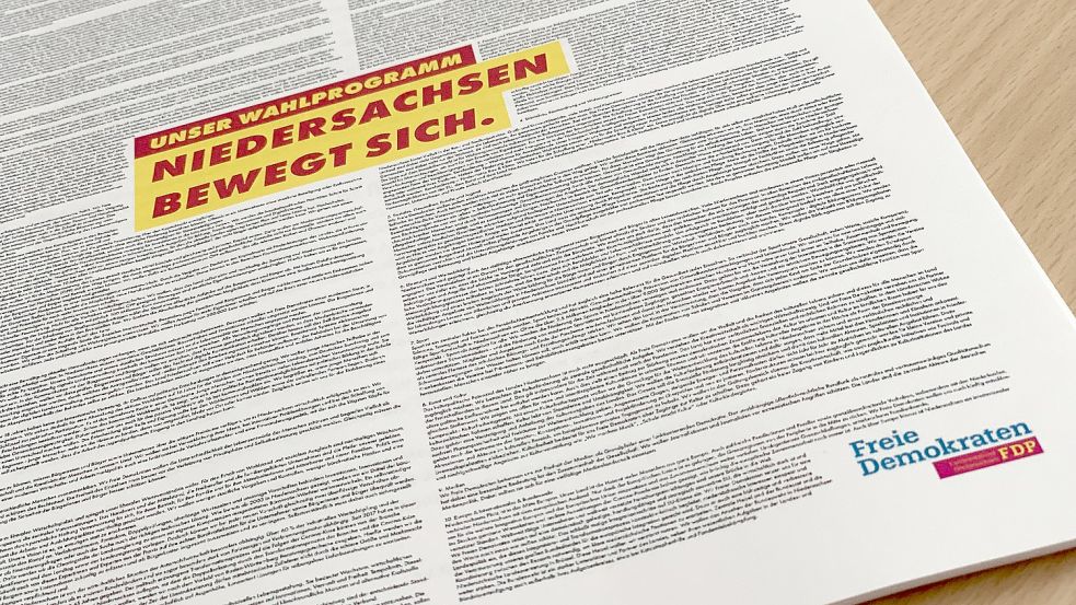 Die FDP in Niedersachsen hat am Dienstag in Hannover ihr Programm zur Landtagswahl am 9. Oktober vorgestellt. Foto: Lars Laue