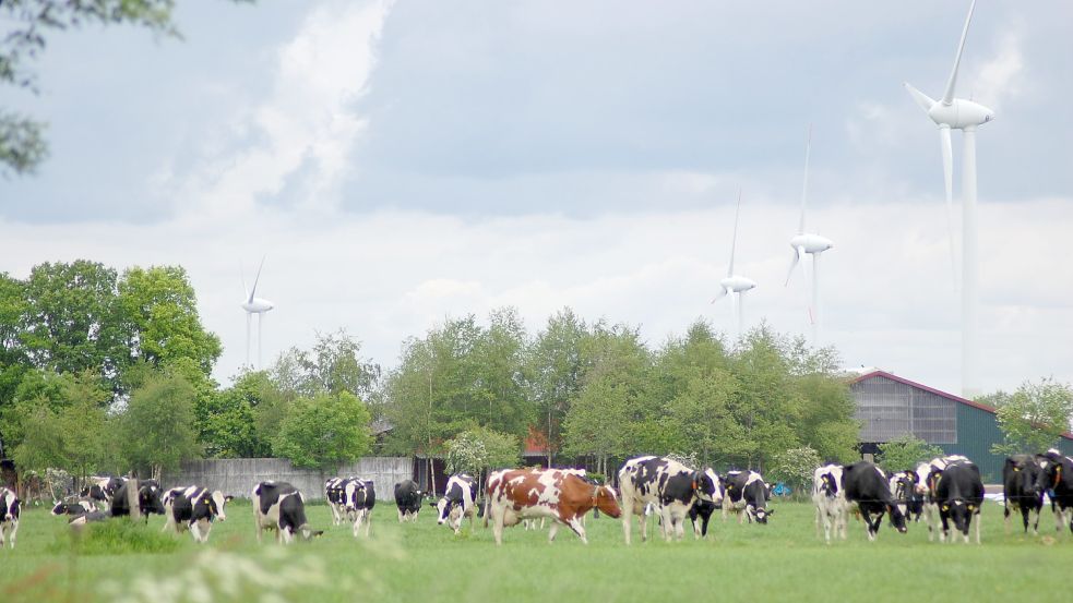 Blick auf den Windpark Klostermoor, östlich der Reinekestraße. Die Anlagen stehen auf landwirtschaftlich genutzten Flächen. Bild: Archiv/Koenen