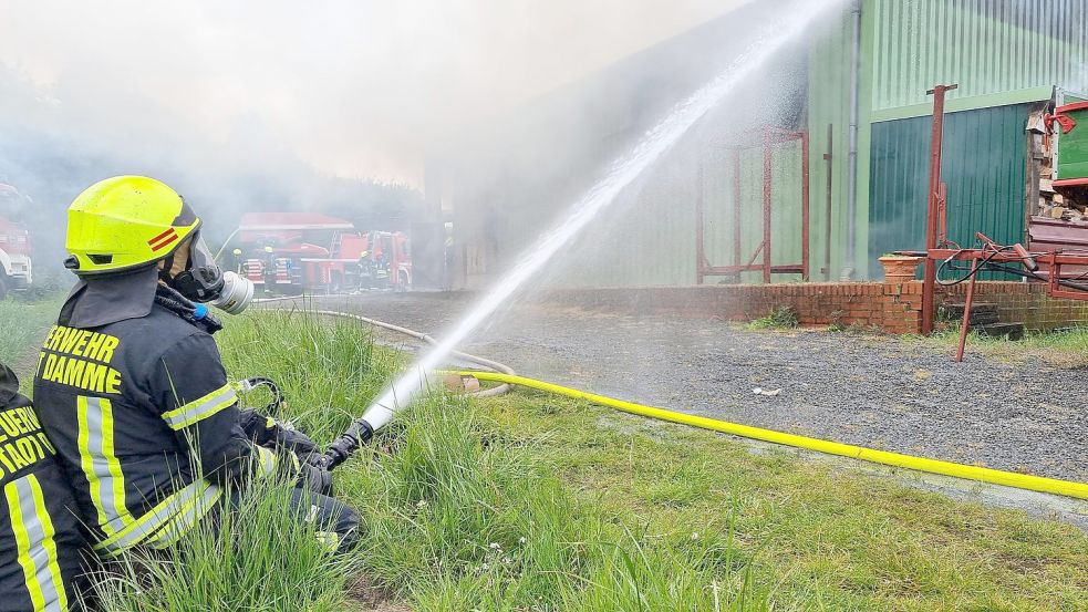 In Damme stand am Dienstnachmittag eine Lagerhalle in Brand. Foto: NWM-Media