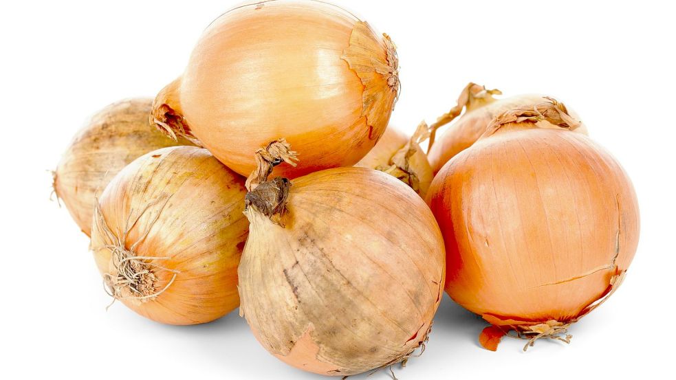 Wie Zwiebeln am besten im eigenen Garten gedeihen, erklärt Felix Schary in seiner Kolumne. Foto: Pixabay