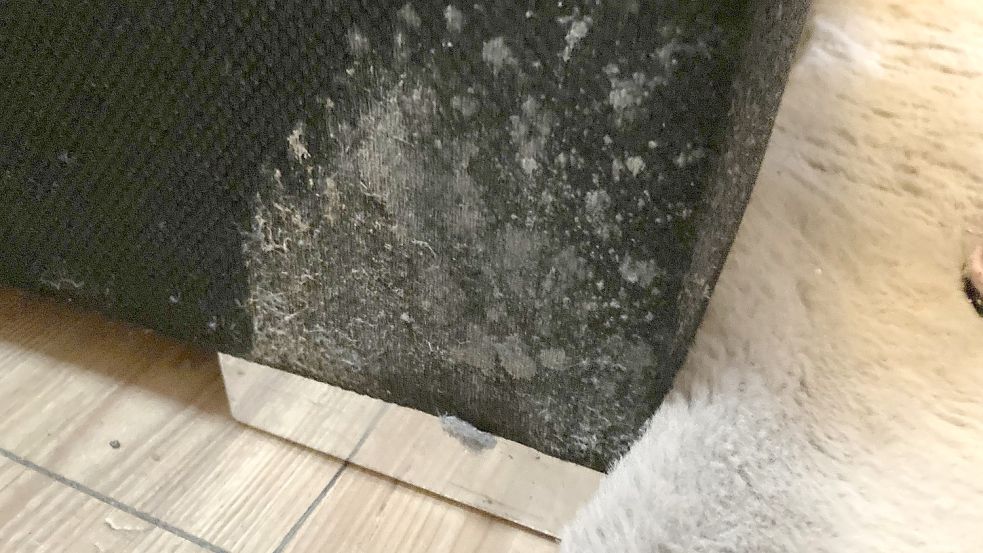 Reemke Aits musste ihr Sofa entsorgen. Überall hatte sich Schimmel gebildet. Foto: privat