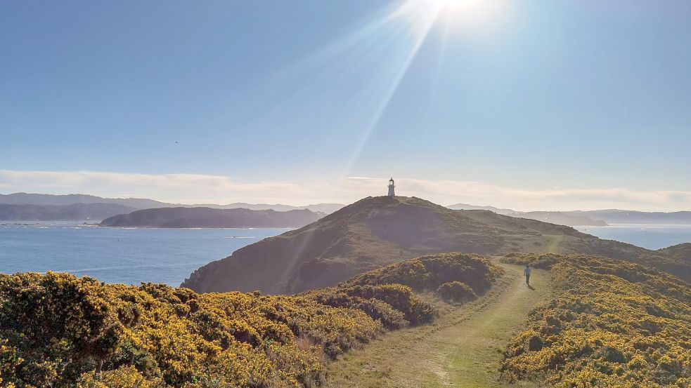 Die Küste in Eastbourne bei Wellington. Neuseeland öffnet am 31. Juli seine Grenzen wieder für Besucher aus aller Welt. Foto: Guo Lei/XinHua/dpa