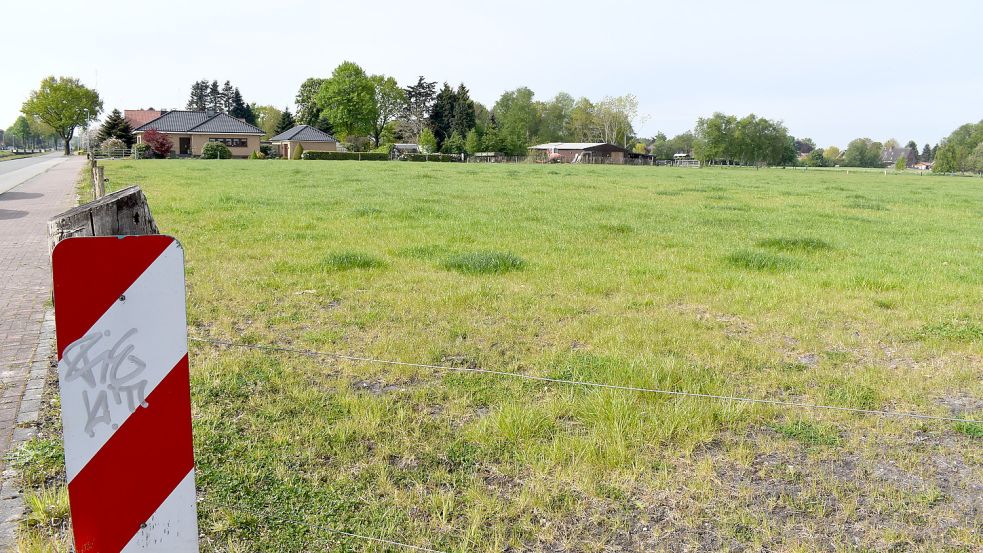 Auf dieser Fläche an der Schifferstraße, wo früher der Möbel-Netto-Markt stand, können nun Häuser gebaut werden. Foto: Zein