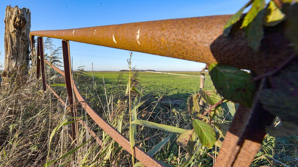 Seit Jahren wird über das Fehntjer Tief im Landkreis Leer gestritten. Foto: Ortgies/Archiv