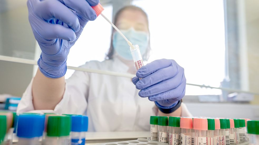 Eine Mitarbeiterin im Medizinischen Labor Ostsachsen wertet PCR-Tests aus. Foto: Sebastian Kahnert/dpa-Zentralbild/dpa