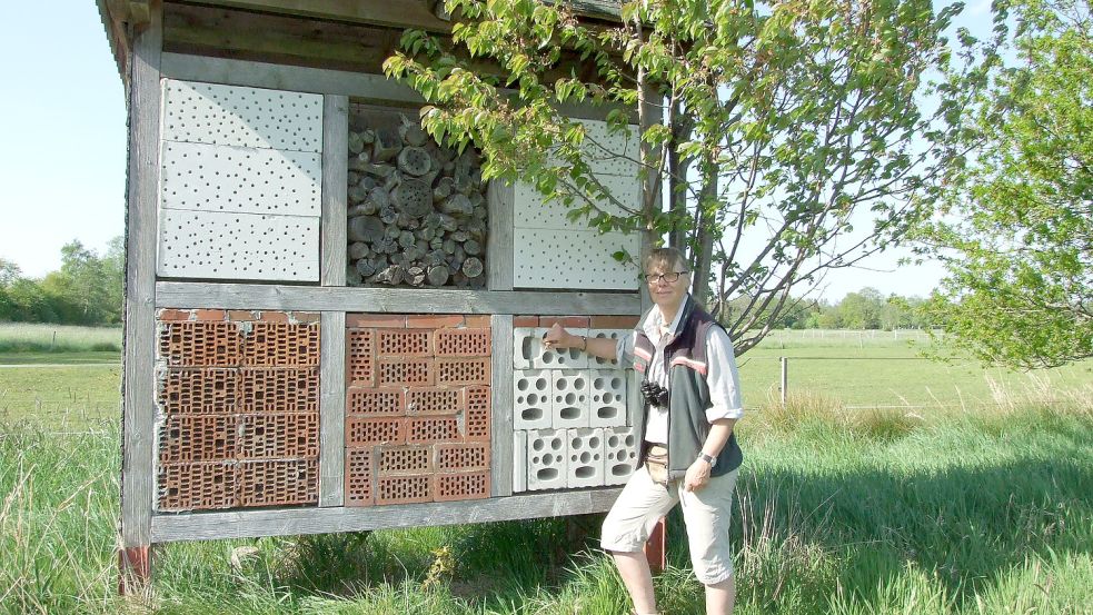Petra Prins kontrolliert regelmäßig das Insektenhotel. Nun organisiert sie Führungen durch das Biotop des Kirchenkreises Rhauderfehn. Foto: Scherzer