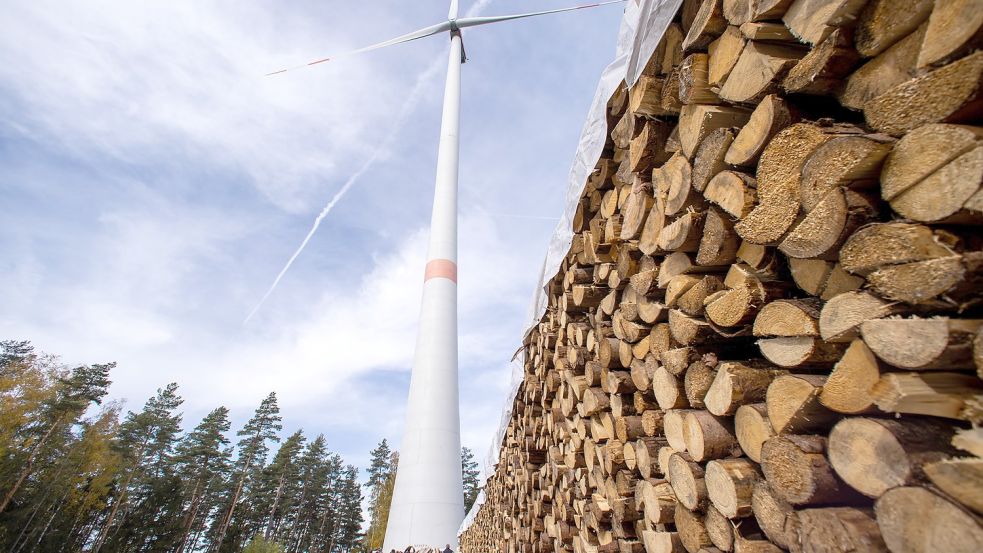 Windkraftanlagen in Bayerns Wäldern Foto: Daniel Karmann