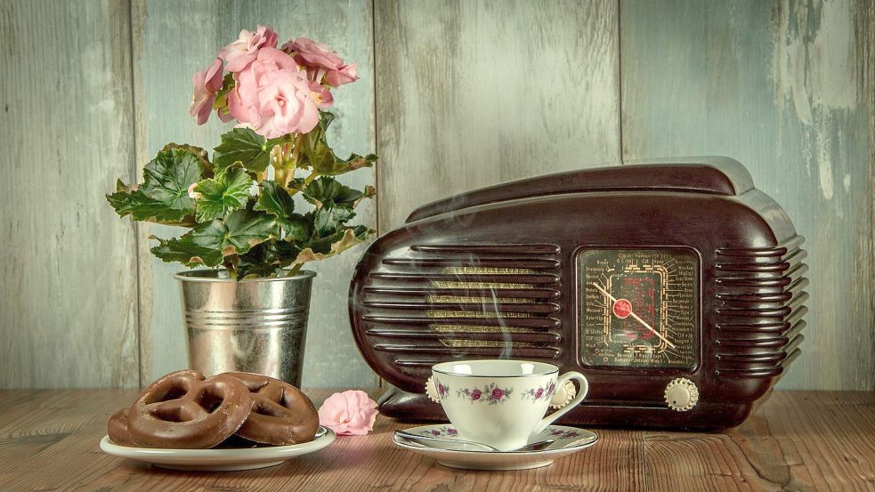 Die Helfer im Repair-Café trauen sich auch an alte Radios. Foto: Pixabay