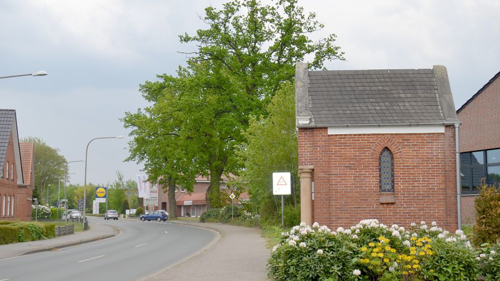 Die beeindruckenden Stieleichen an der Friesoyther Straße in Barßel stehen auf Privatgrund. Einfach gefällt werden dürfen sie nicht. Foto: Fertig