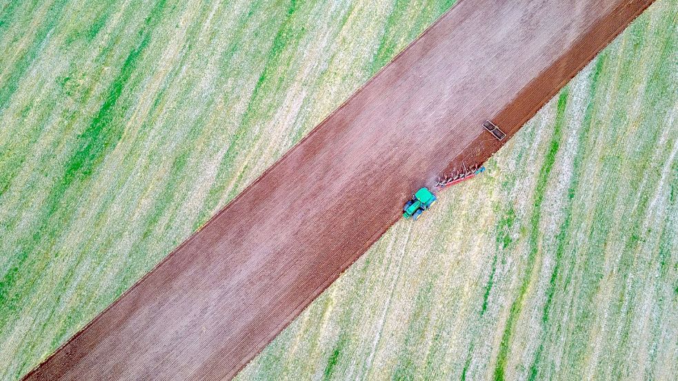 Ein Traktor zieht Pflug und Egge über ein abgeerntetes Feld im mecklenburgischen Lübz und bereitet es für die nächste Aussaat vor. Foto: Jens Büttner/dpa-Zentralbild/dpa