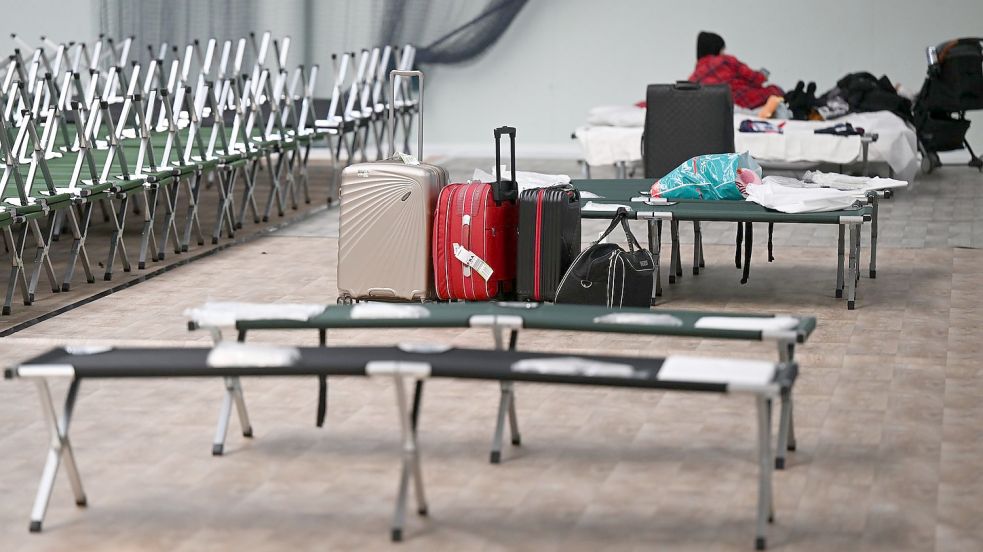 Notbetten stehen in einer Frankfurter Sporthalle für ukrainische Kriegsflüchtlinge bereit. Foto: Arne Dedert/dpa