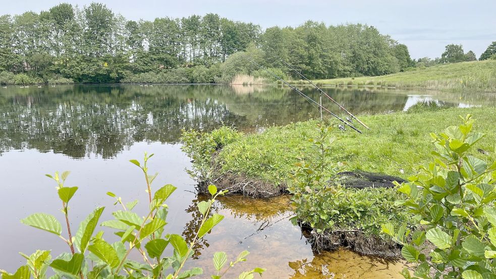 Auf der Seite zur 1. Südwieke hin hat der See eine flache Stelle. Dort könnte die Badestelle entstehen. Foto: Janßen