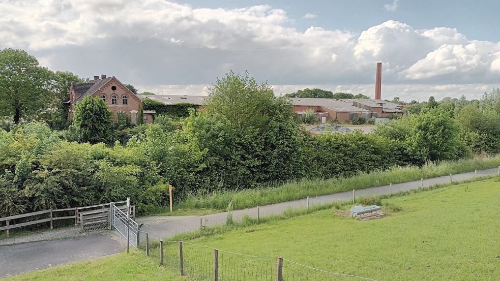 Vom idyllischen Deich geht der Blick direkt auf die Ruine und das brachliegende Gelände. Foto: Vogt