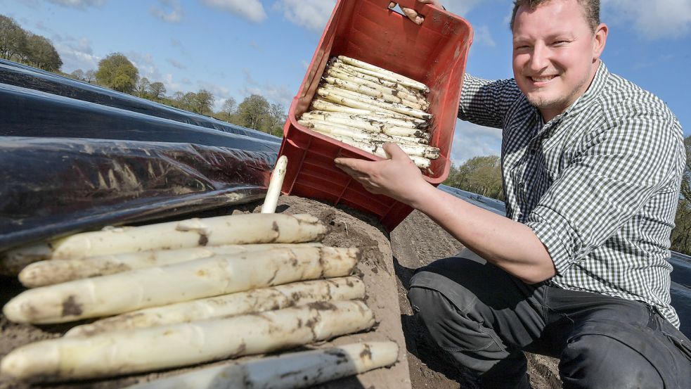 Janno Schmid konnte im vergangenen Jahr im sonnigen Juni eine Kiste Spargel zeigen. Foto: Ortgies/Archiv