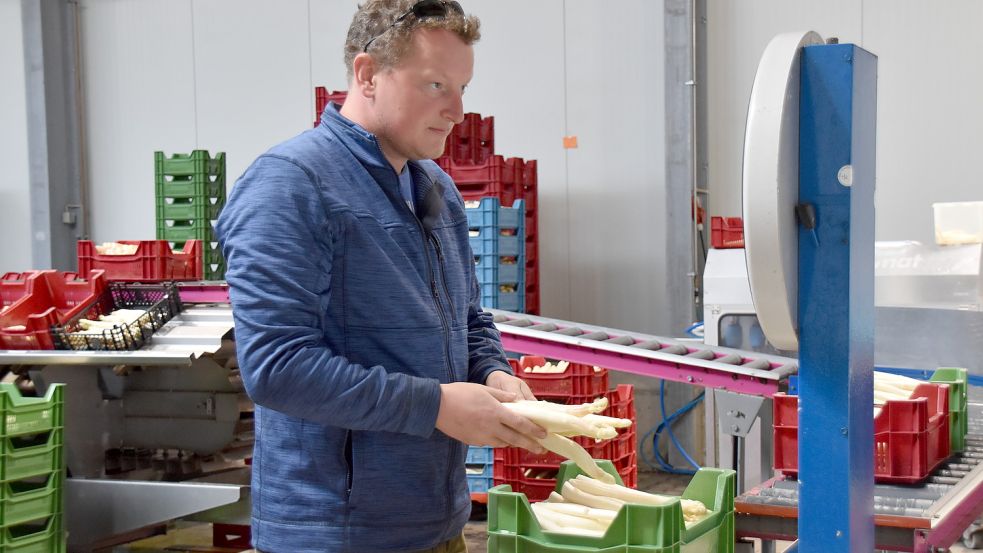 Janno Schmid wiegt frisch geernteten Spargel ab. Er setzt überwiegend auf Direktvermarktung. Foto: Wehry