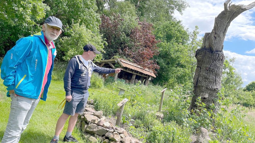 Theo Lüken (links) und Ingo Rieken stehen bei der sogenannten Klotzbeute in Befis Naturgarten. in dem hohlen Eichenstamm wohnt ein Bienenvolk. Foto: Janßen
