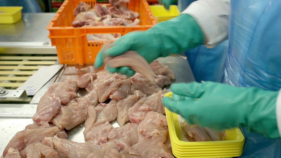 Produktion von Hähnchenfleisch Foto: Ingo Wagner