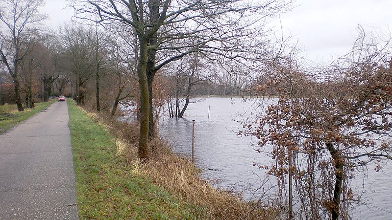Der Polder Bucksande bei einer der zurückliegenden Hochwasserlagen. Der Hochwasserschutz in der Gemeinde Apen soll durch das Vorhaben des Leda-Jümme-Verbandes verbessert werden Foto: NLWKN).