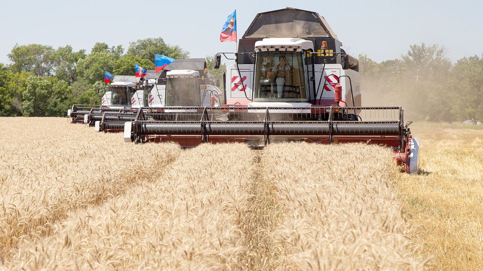 Weizenernte bei Luhansk in der Ostukraine. Foto: imago images/ITAR-TASS