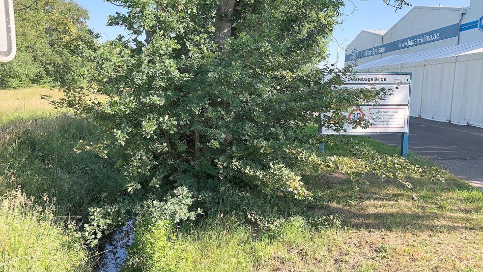 Der Strücklinger Hauptgraben teilt das Betriebsgelände der Firma Hansa Klimasysteme und soll nun verlegt werden. Fotos: Kruse