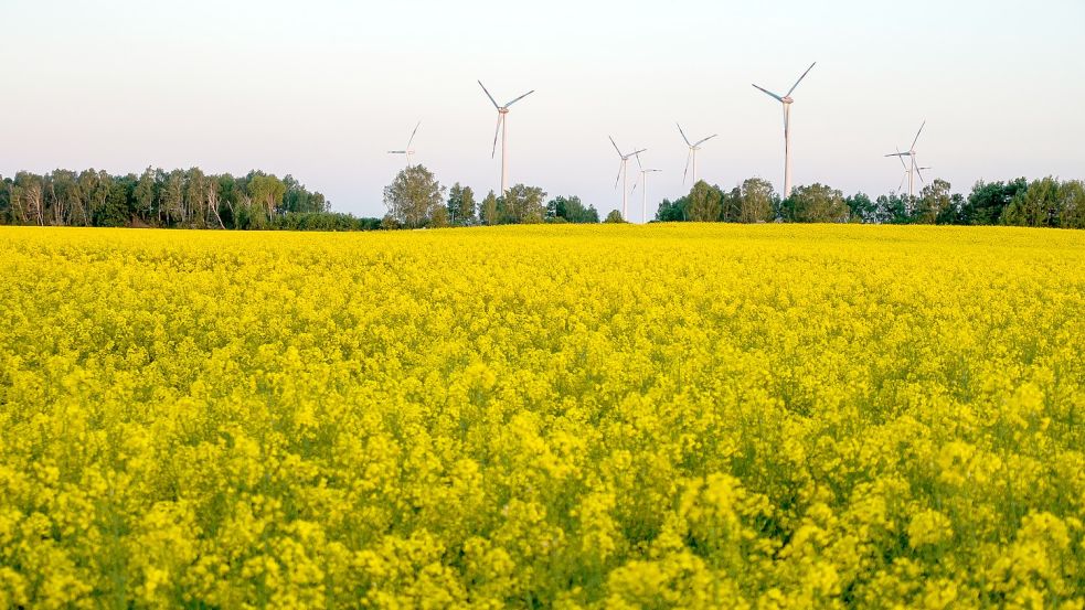 Häufig werden Windräder als Bürgerenergie gewonnen. Foto: Etienne Girardet auf Unsplash