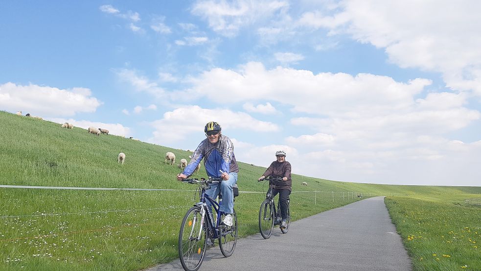 Eine Tour am Deich ist beliebt: An manchen Strecken gibt es Zäune. Foto: Archiv