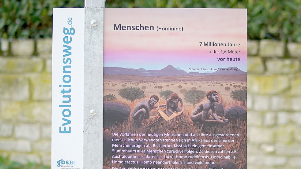 So sieht eine der 20 Informationstafeln des Evolutionswegs aus. Foto: Säkulare Humanisten - GBS Rhein-Neckar