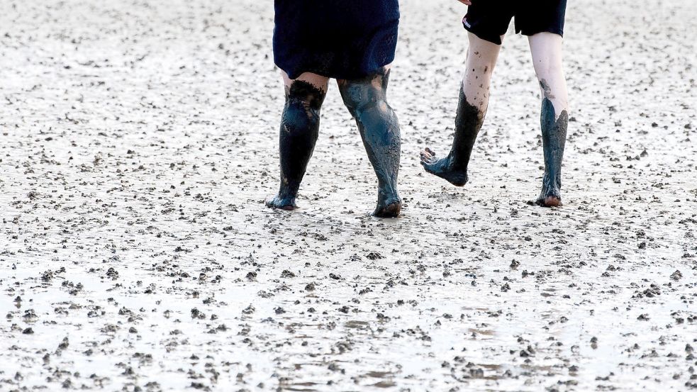 Beliebtes Urlaubsziel: Touristen gehen bei Niedrigwasser durch das Wattenmeer. Foto: Dittrich/dpa